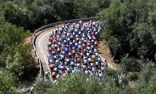 The peloton rides during stage 3 of the Vuelta