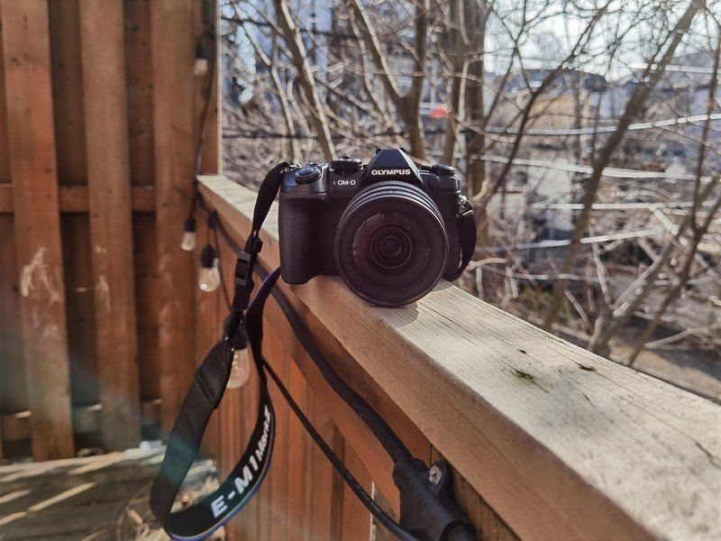 P40 Pro Sample