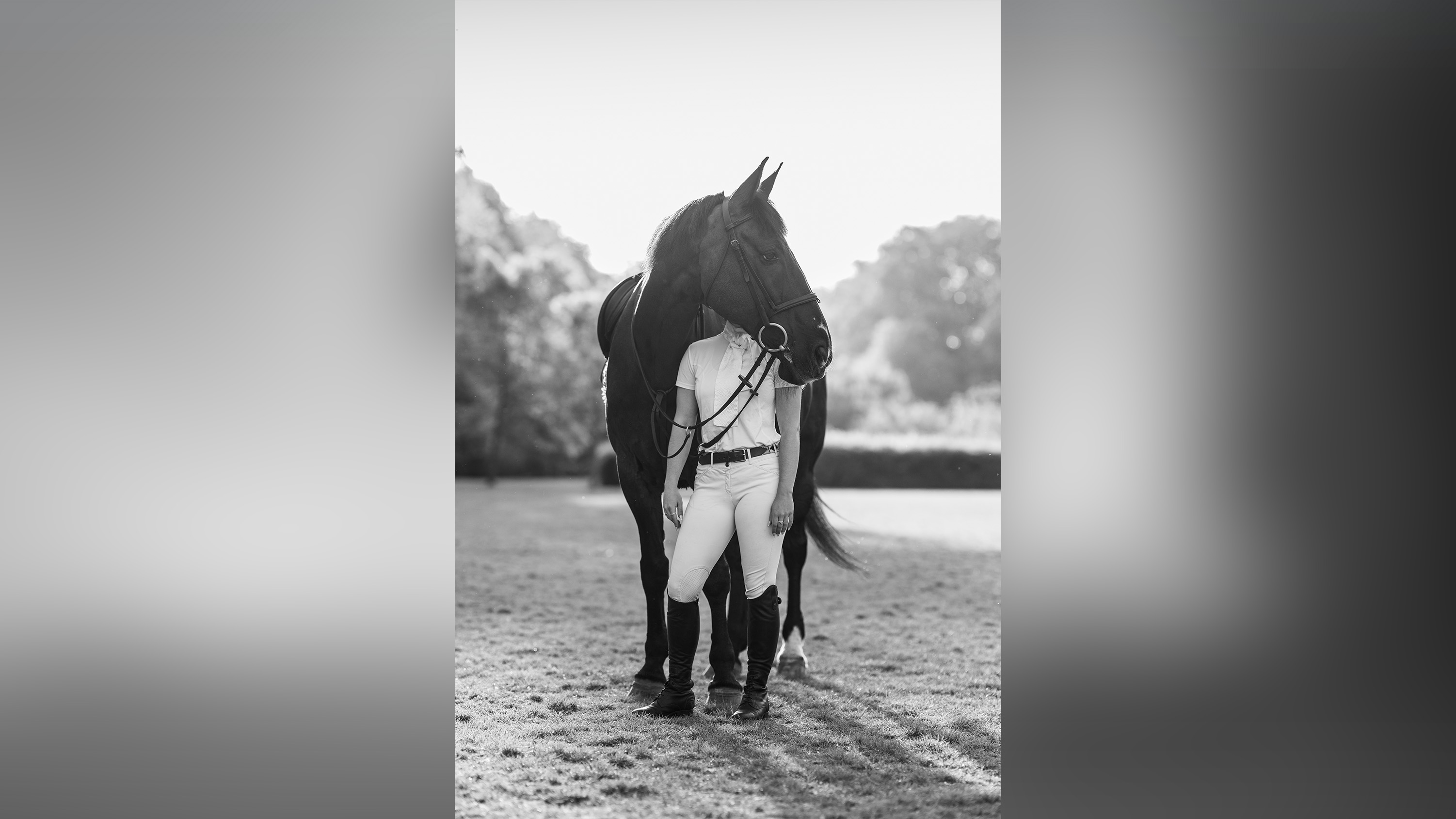 A cavalry soldier and their horse.