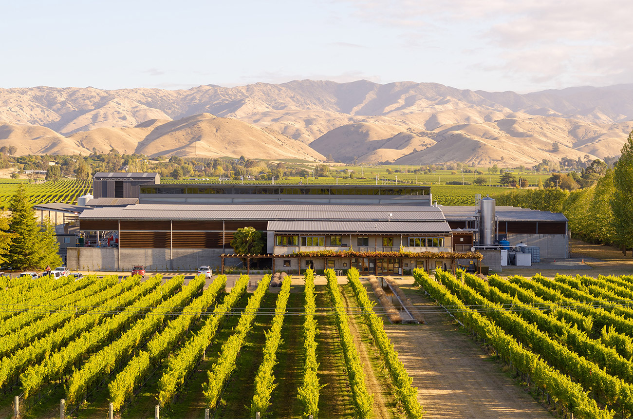 Villa Maria Winery in Marlborough, New Zealand