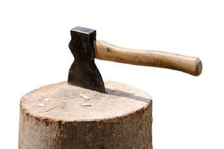 axe in a tree trunk