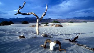 Landscape at Death Valley National Park, USA