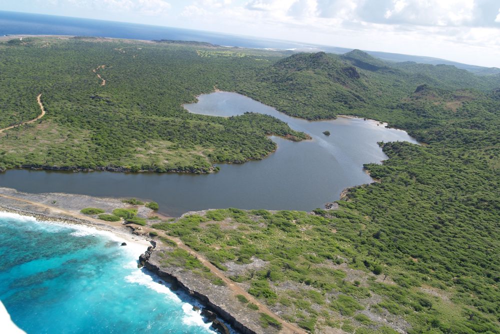 Caribbean tsunamis, ancient tsunamis, ecosystems