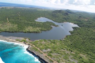 Caribbean tsunamis, ancient tsunamis, ecosystems