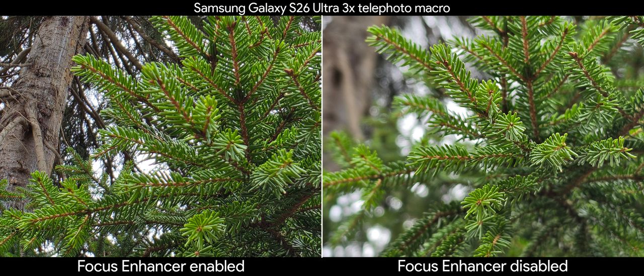 Comparing telephoto macro shots with the Focus Enhancer feature enabled and disabled