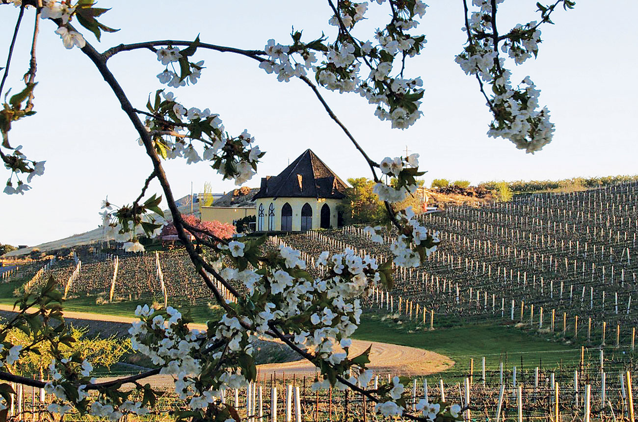 Ste Chapelle Winery