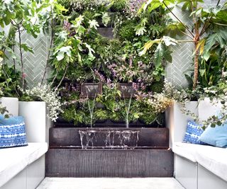 courtyard garden with water feature, seating and green wall planting