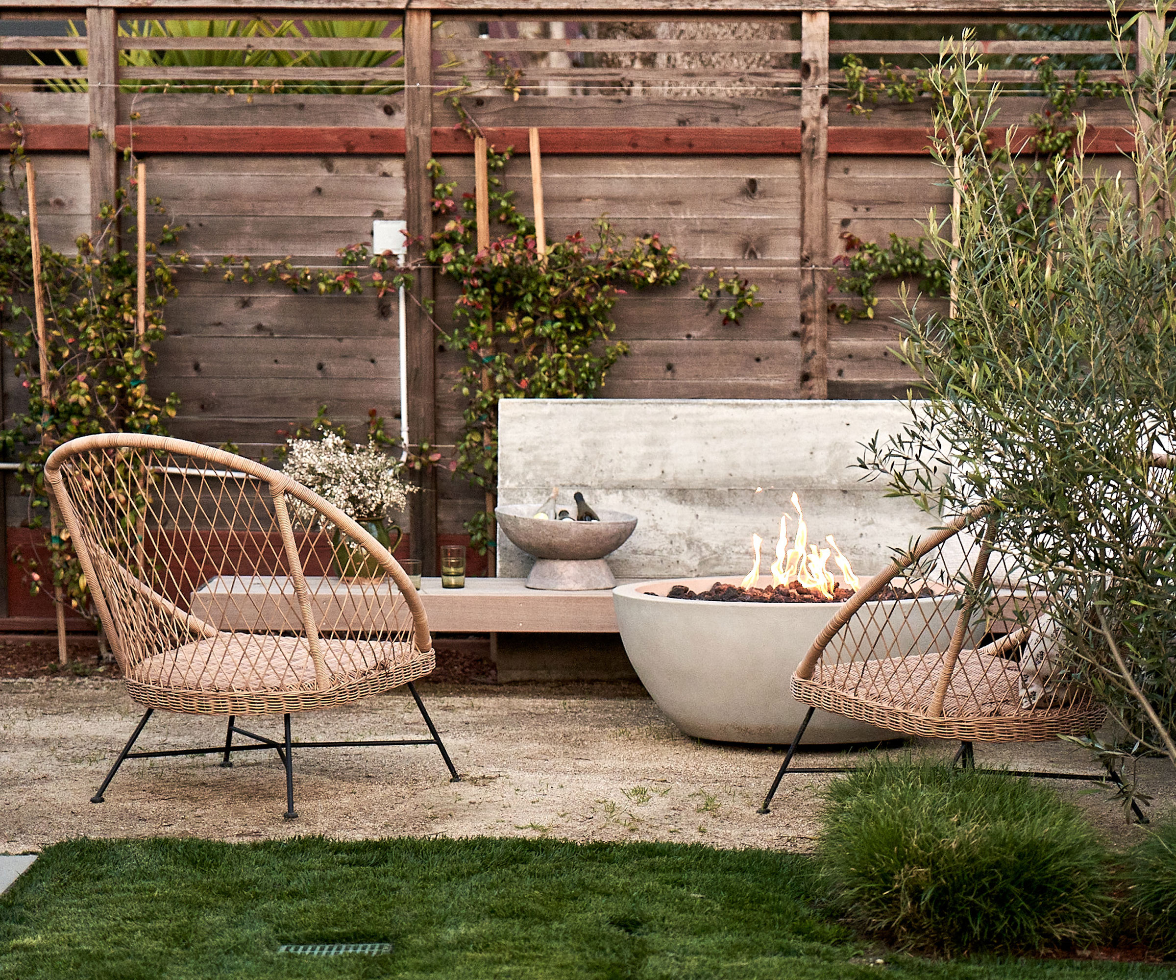 modern garden design with stone fire pit and stone bench, garden chairs, climbing plants on fence and olive tree