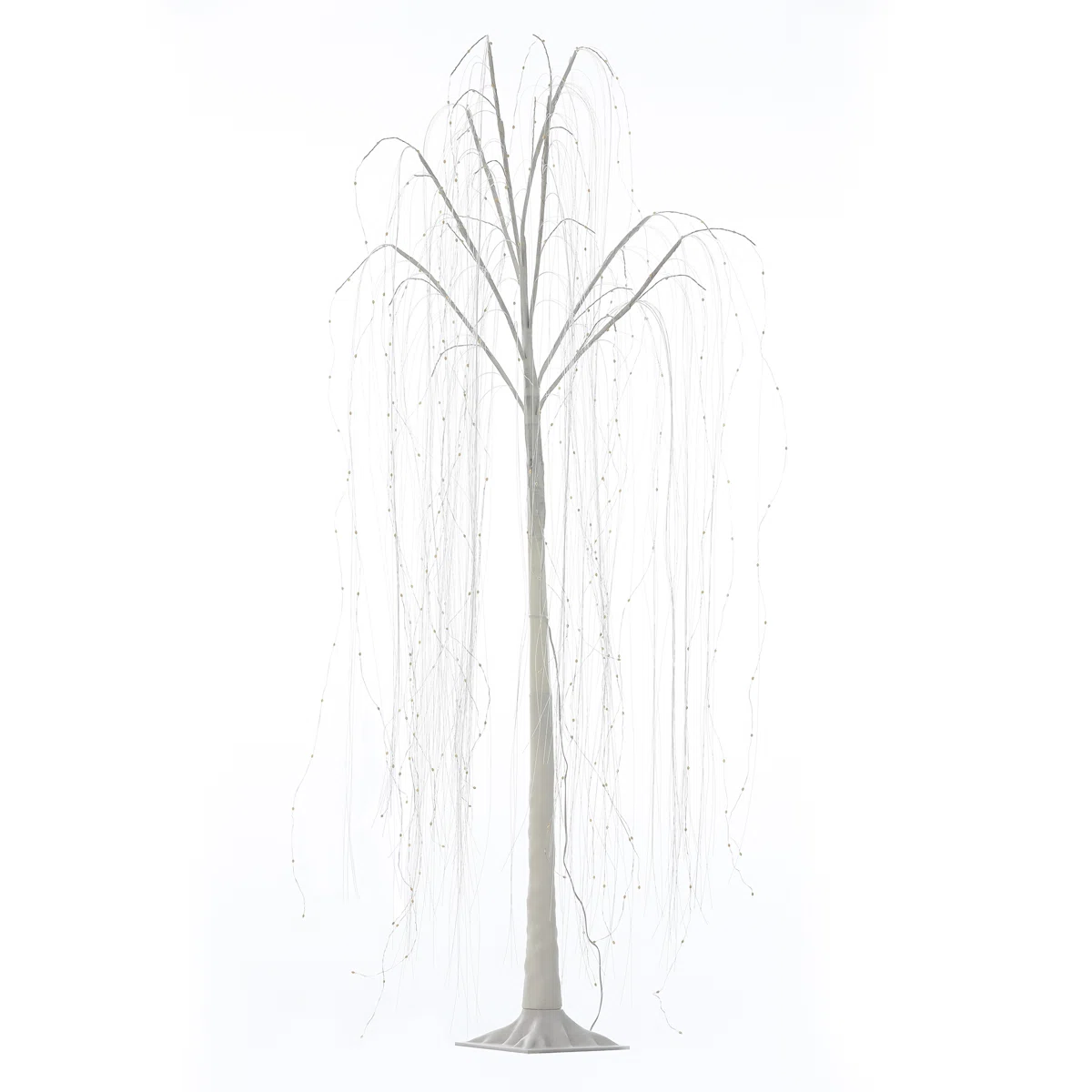 White twinkling twig willow tree