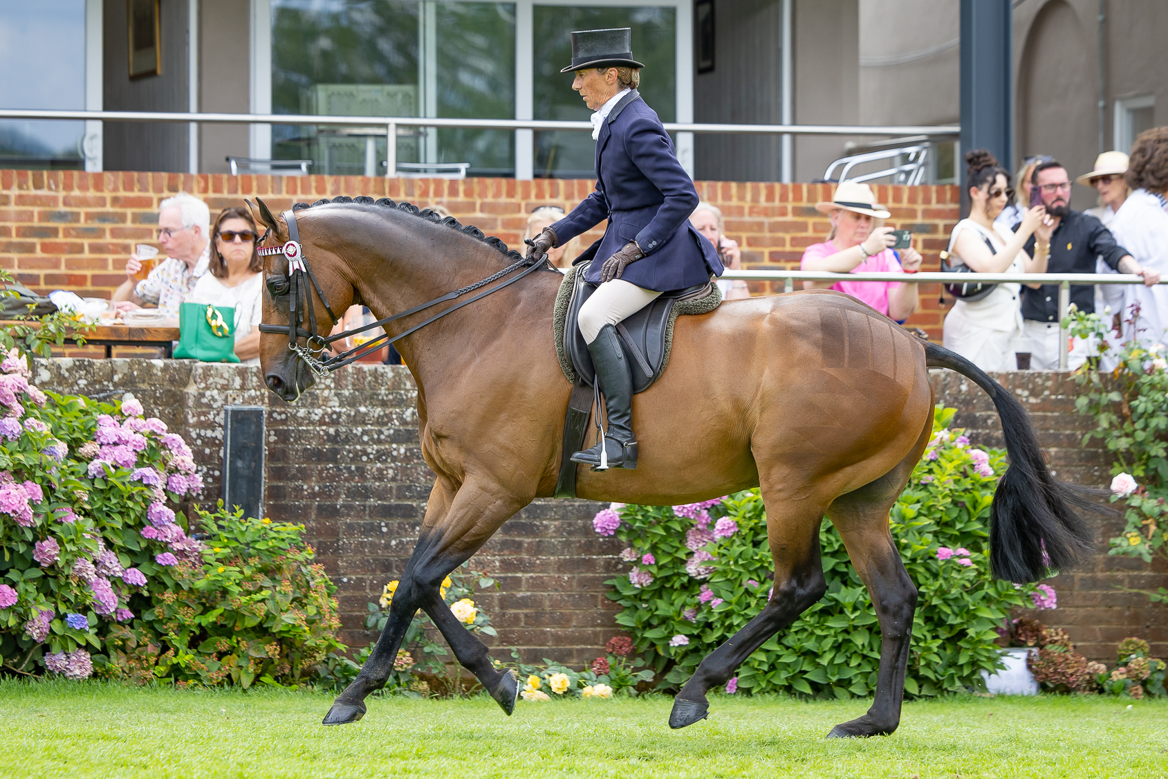 Jayne Ross rides Ladies Man with one hand on the rein and one on her thigh at a canter around the arena at the Royal International Horse Show