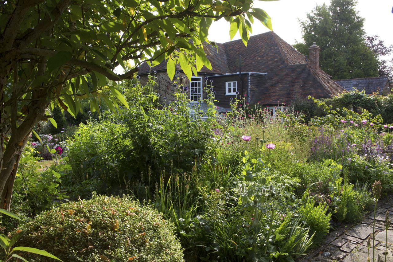 front cottage garden with poppies and full borders