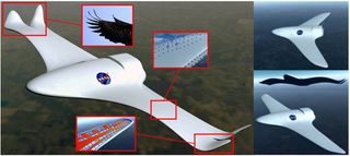 Bio-inspired aircraft concept, sporting adaptive and morphing skins and structures.