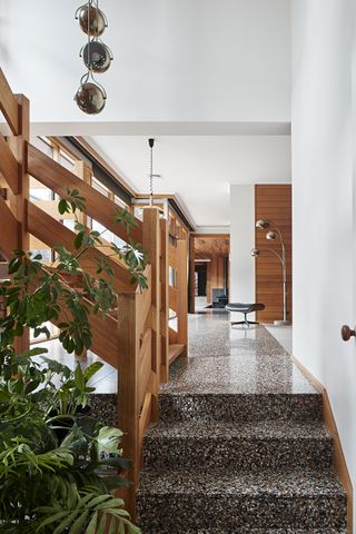 An entryway with plant