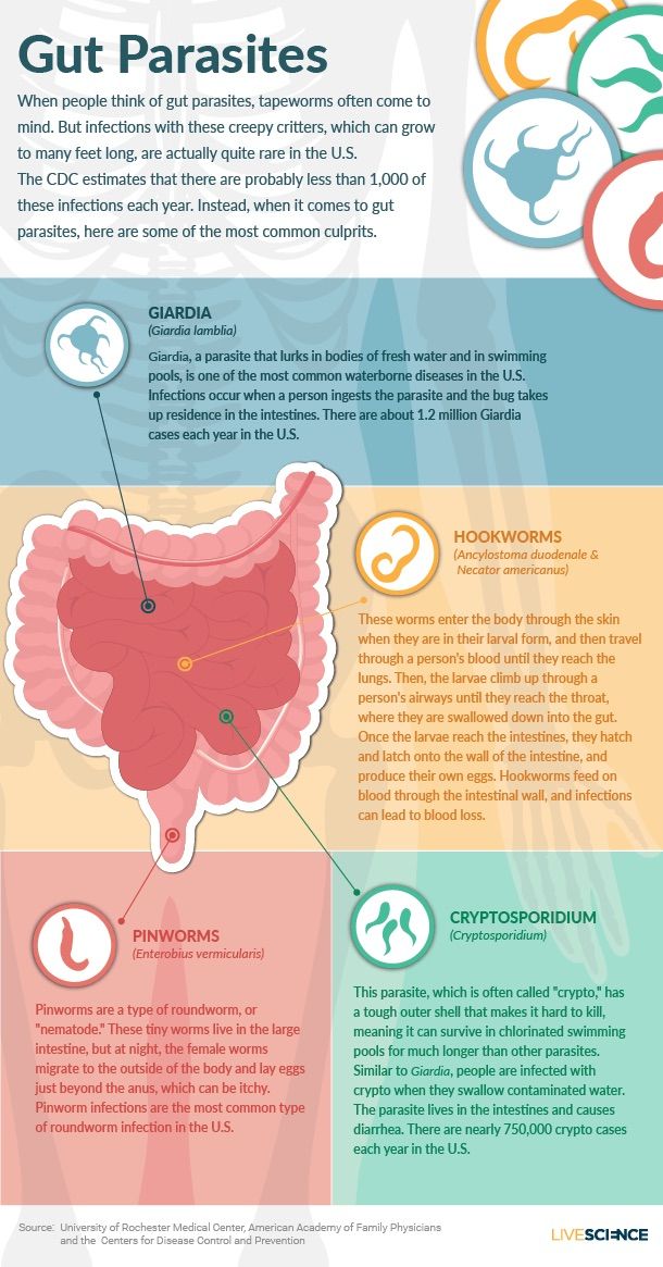 Get Gutsy About Your Digestive Health | Live Science