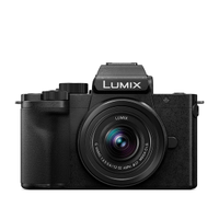 Panasonic Lumix G100$747.99$574.95 at Amazon