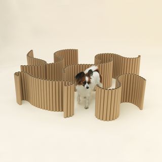 Dog kennel