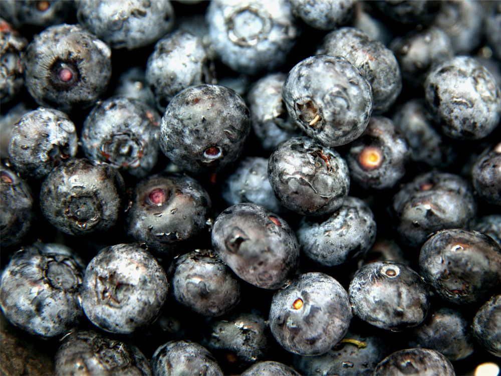 blueberries