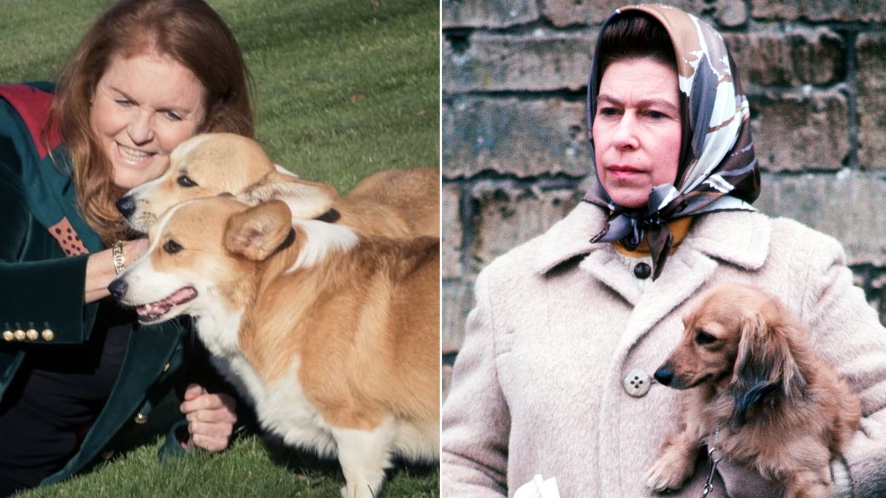 Queen Elizabeth II with one of her favourite dogs in April 1976. 