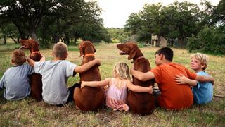 Five siblings with their three Vizsla dogs