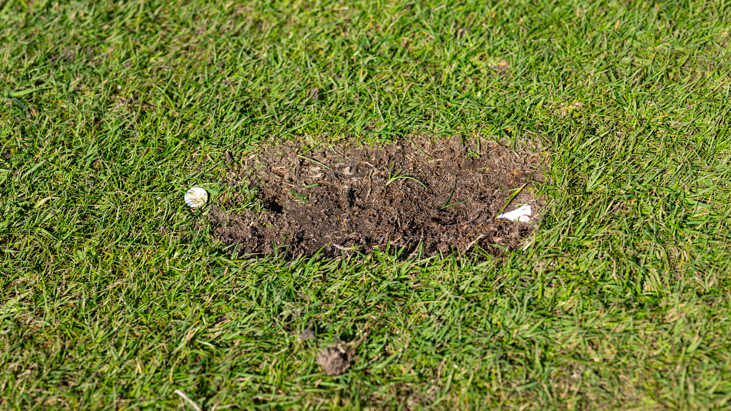 Divot with tees
