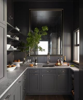 kitchen with a black butler's pantry