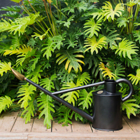 Haws Professional Long Reach Watering Can | $148-$178 from Terrain