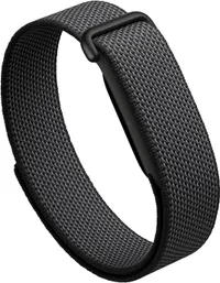Fitbit Air Fitbit Air