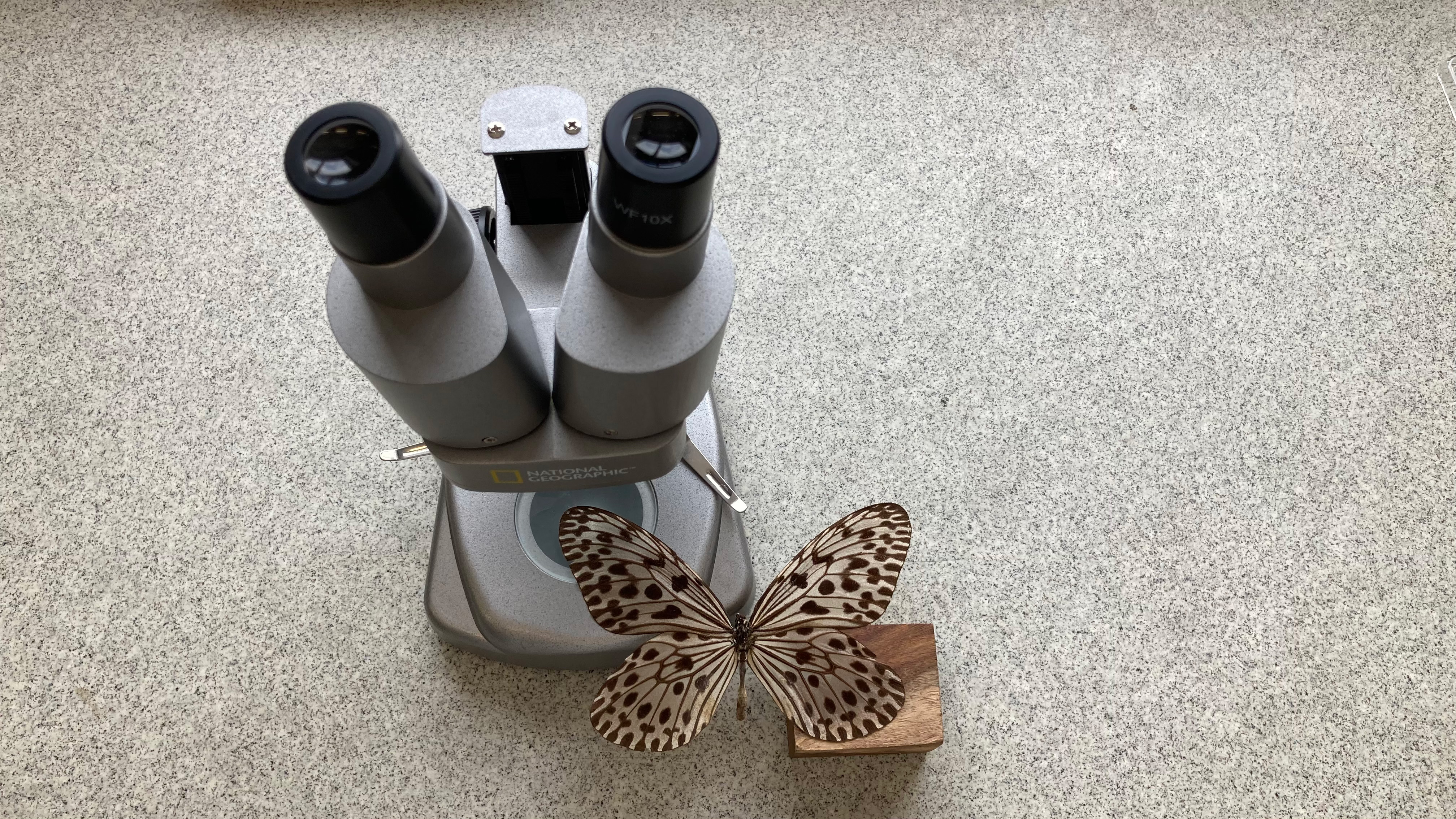 National Geographic Ultimate Dual Stereo Microscope examining a butterfly