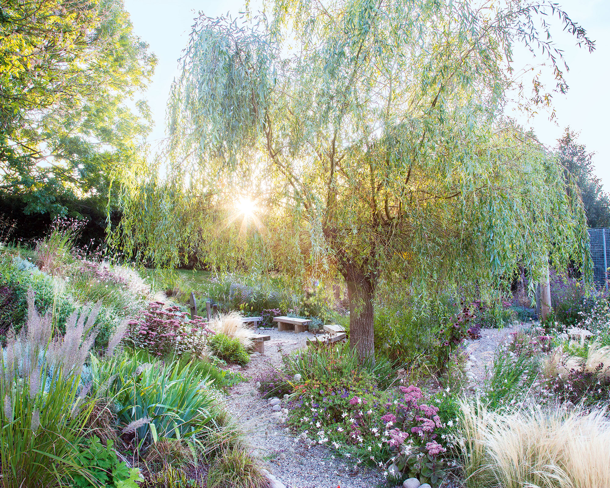 Large Mediterranean style garden with trees, pink flowers and plants