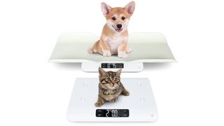 Greater Goods Digital Pet Scale