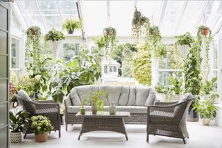 indoor plant ideas: dobbies conservatory full of plants