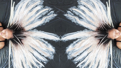 Grey, Symmetry, Wing, Bird, 