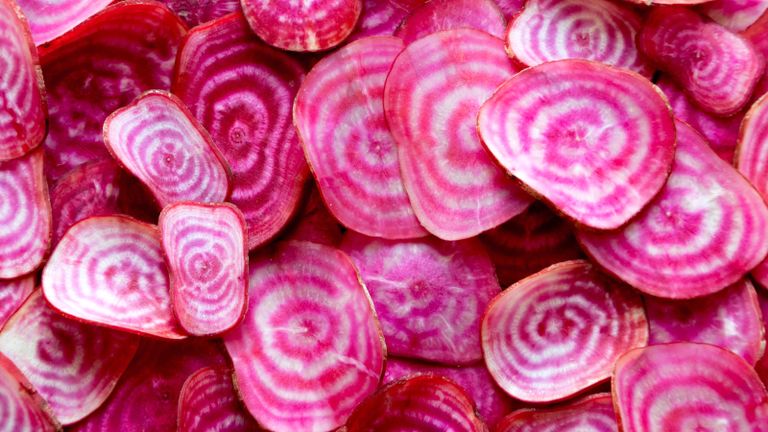 candy cane beetroots recently harvested and sliced