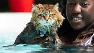 Girl holding Siberian cat in swimming pool