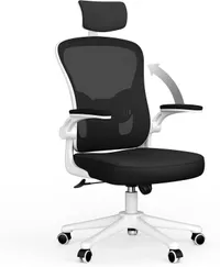Naspaluro office chair