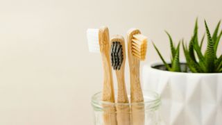 Are teeth naturally yellow? Image shows toothbrushes in pot