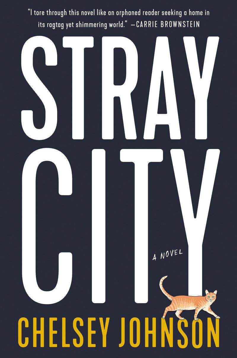 'Stray City' by Chelsey Johnson