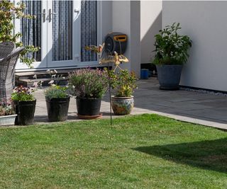 Patio with lawn