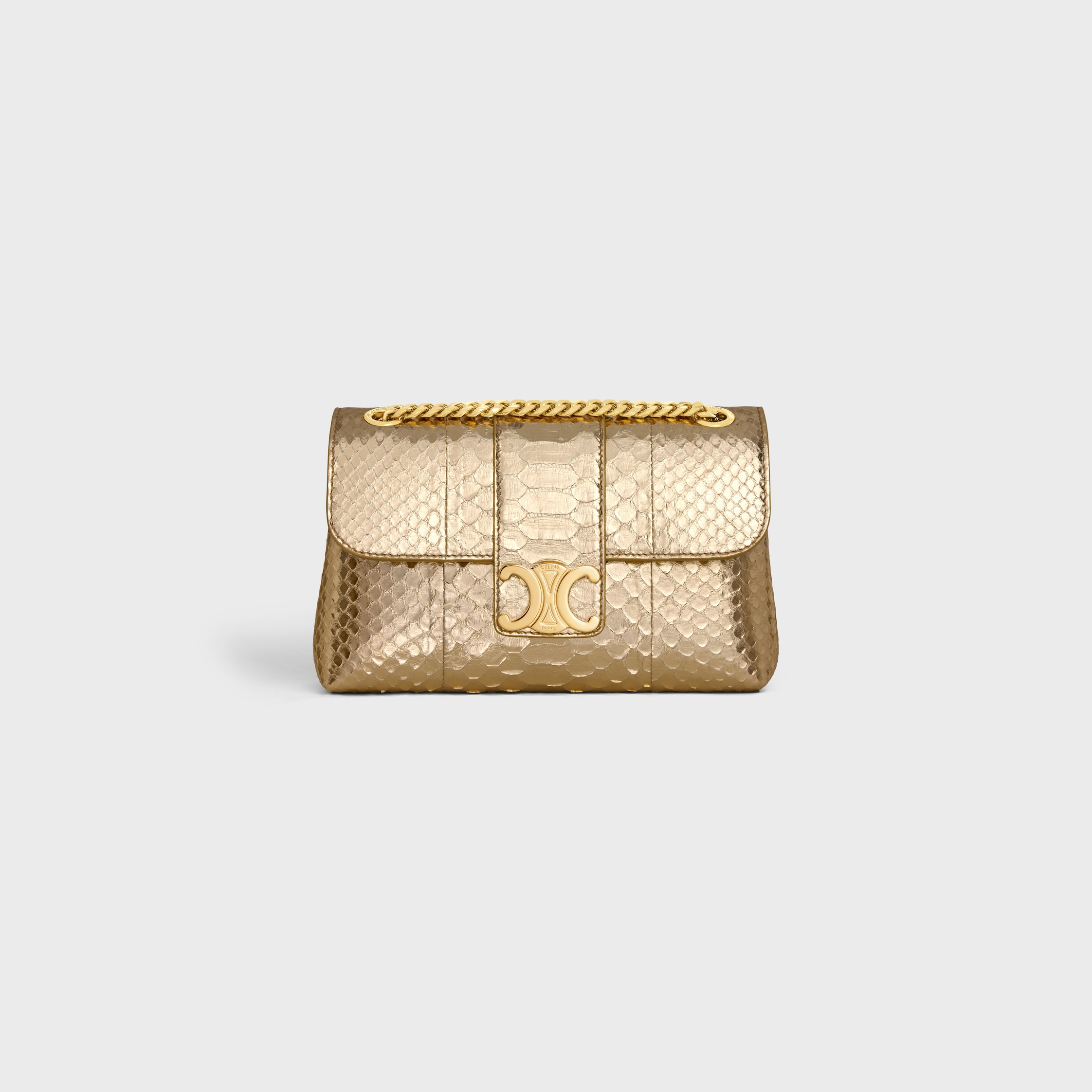 Teen Celine Victoire Bag in Laminated Python