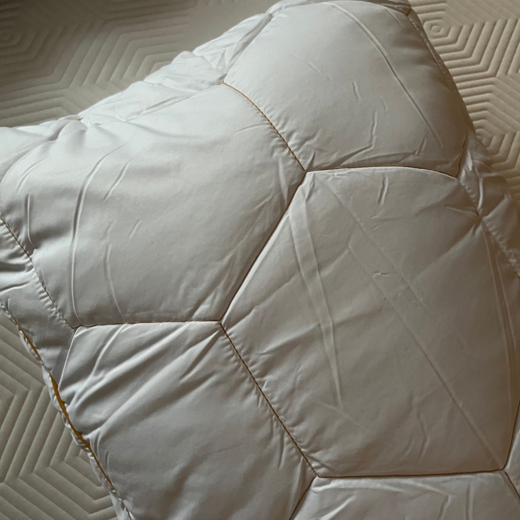 HoneyFoam pillow cover with filling inside