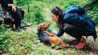 Young woman hiking in the forest, playing with her pet dog