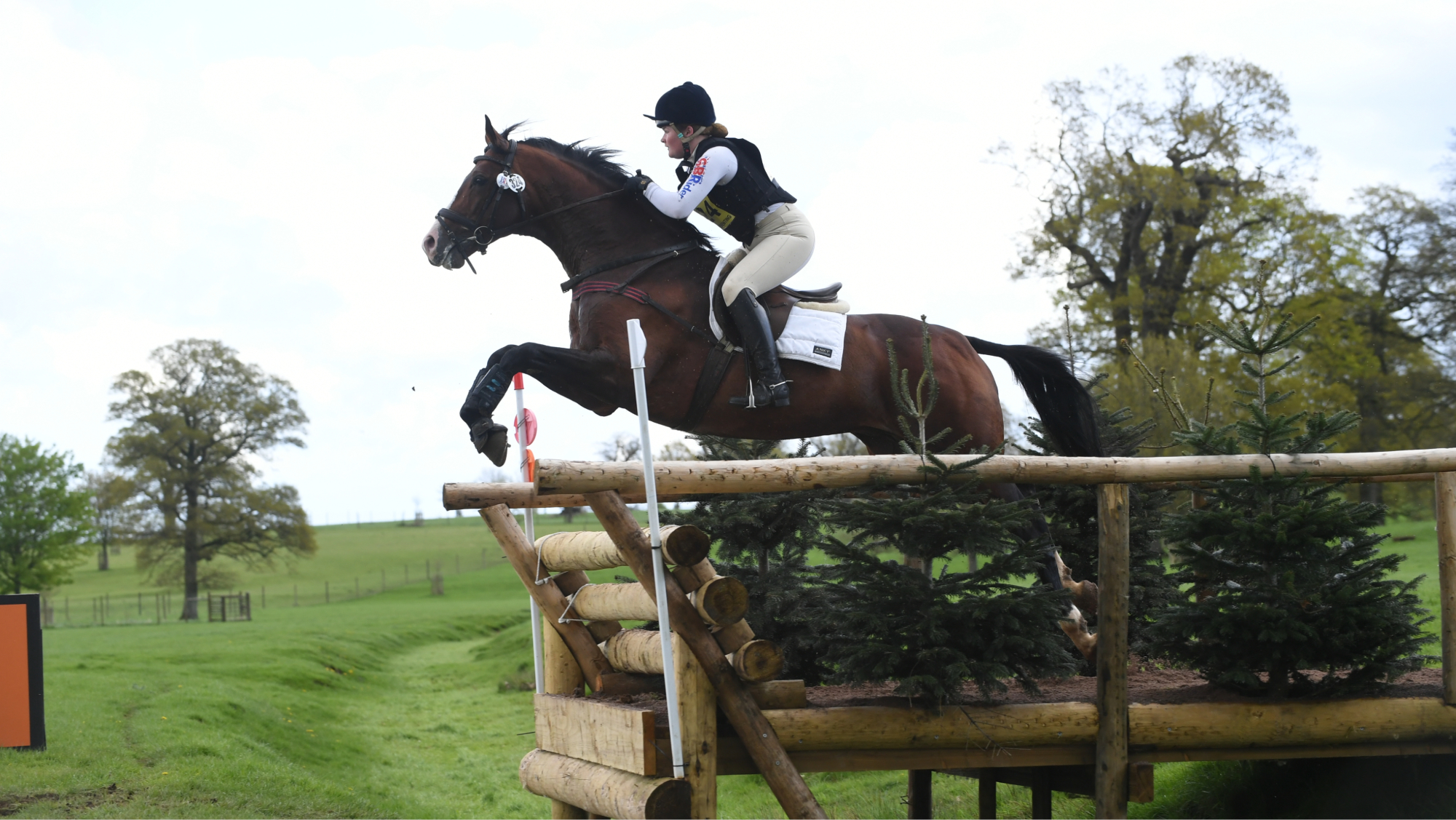 Timolin Timolin, British Warmblood eventing and dressage stallion at stud at Catherston Stud, Hampshire