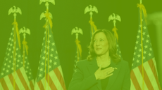 Kamala Harris stands in front of the US flag. The picture is tinted green in reference to Charli XCX's Brat album
