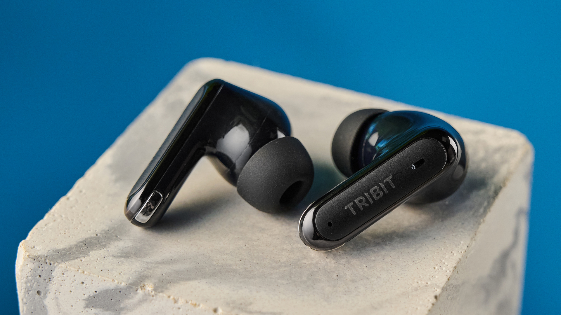 Tribit FlyBuds C3 in black photographed on a blue background with leaves