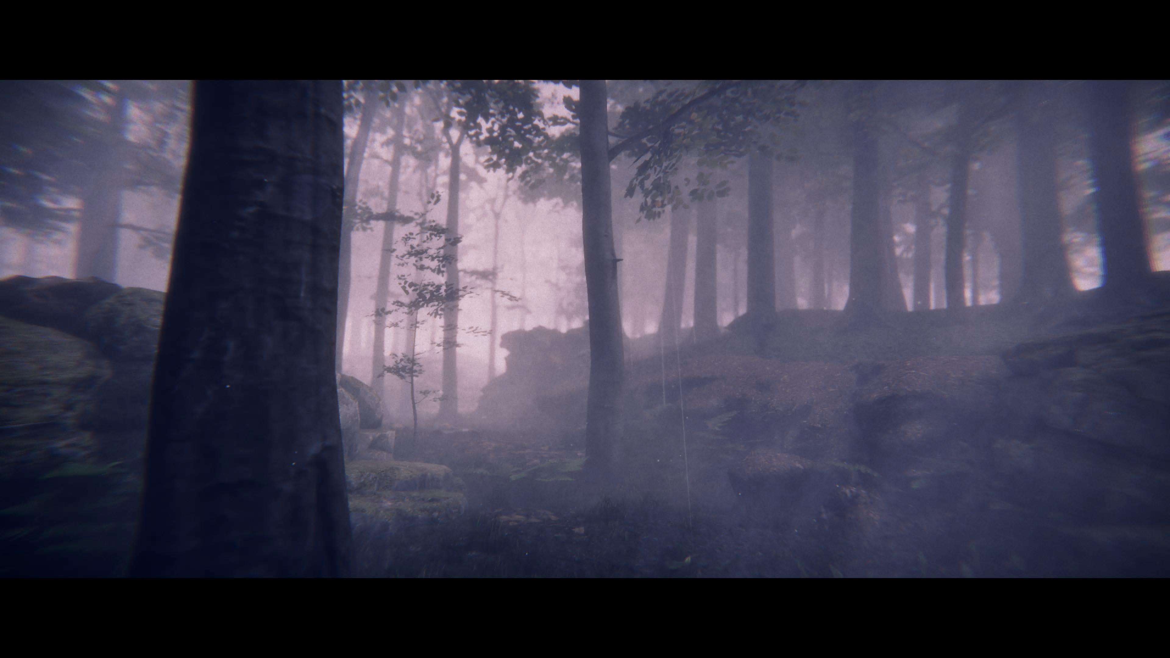 Screens of a horror video game set in a forest