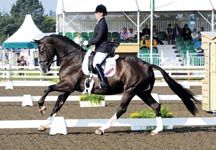 valegro.jpg