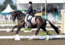 valegro.jpg