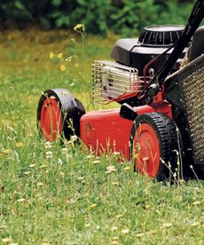 mowing a lawn with a lawn mower