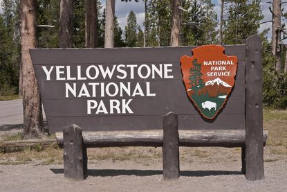 Yellowstone National Park: Now with Wi-Fi?