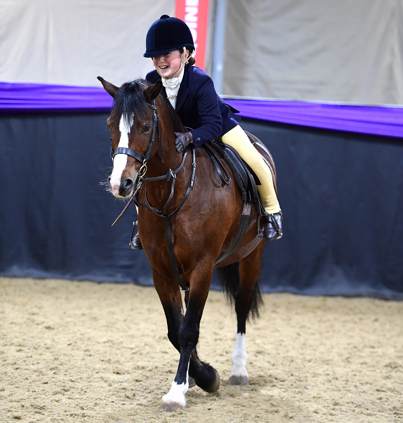 Heritage Show 15.10.22Heritage Novice Mini WHP Champs.Champ. No. 360